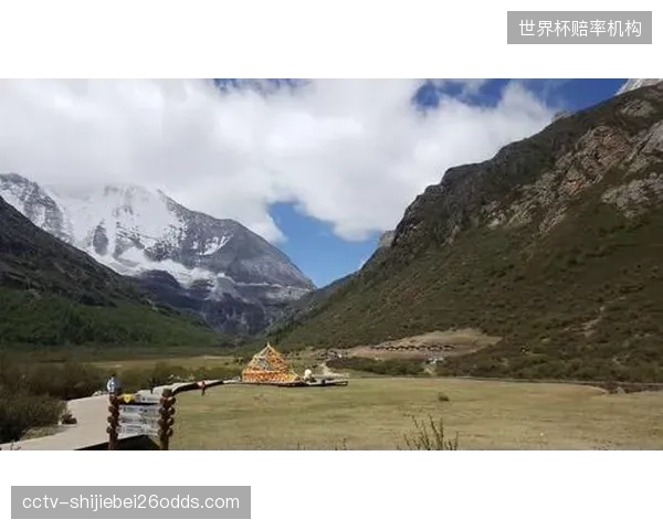若在高原赛区作战，瑞士队部分球员丰富的俱乐部高原比赛经验将成为潜在优势。